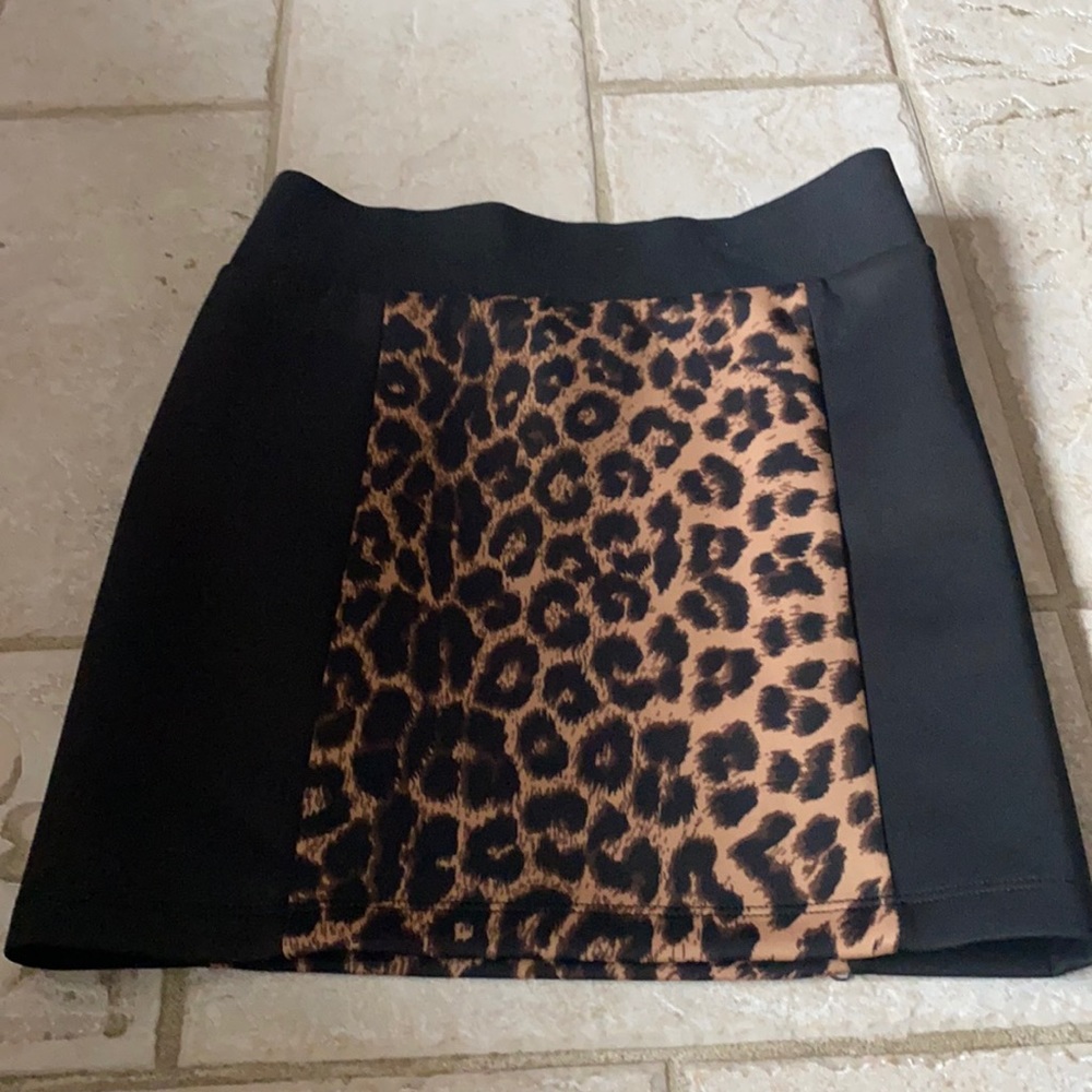 Charlotte Russs Cheetah Skirt
